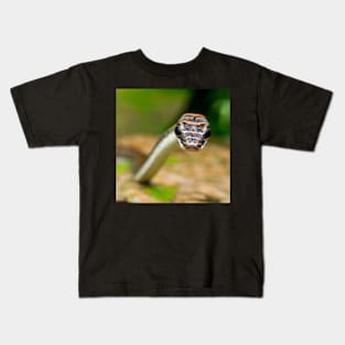 Unique and organic photography of a curious tree snake Chrysopelea pelias Kids T-Shirt